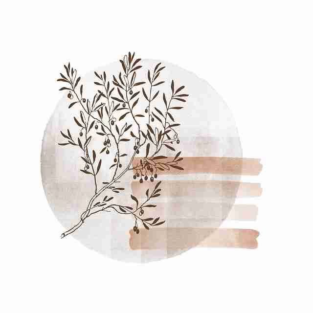 黑料每日回应不打烊专题回顾事件全貌,黑料不打烊现在收费了吗